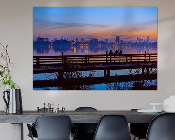 Sunset Skyline Rotterdam in Kralingsebos by Fons Simons