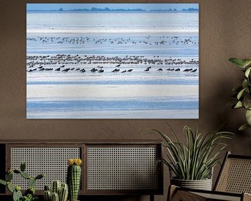 Vögel auf dem Wattenmeer bei Ebbe von Anja Brouwer Fotografie