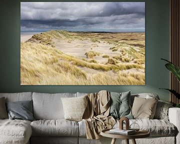 Amelander duinen op het Oerd - Natuurlijk Ameland van Anja Brouwer Fotografie