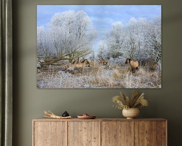 Konikpaarden in winters landschap - Natuurlijk Wadden van Anja Brouwer Fotografie