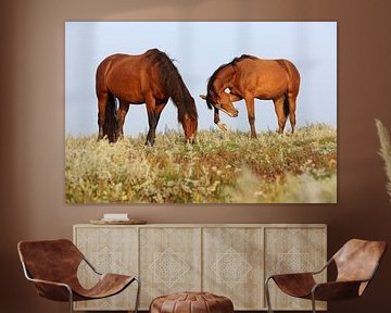 Paarden op de kwelder - Natuurlijk Ameland van Anja Brouwer Fotografie