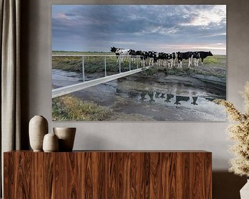 Koeien op de kwelder - Natuurlijk Wadden van Anja Brouwer Fotografie