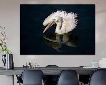 De eenzame pelikaan