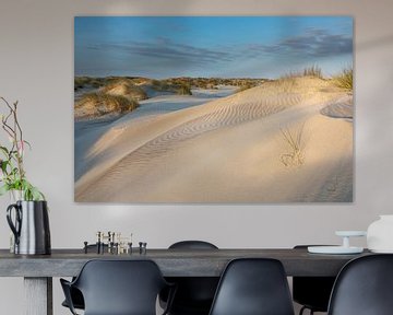 Jonge duinen in zonlicht - Natuurlijk Ameland van Anja Brouwer Fotografie
