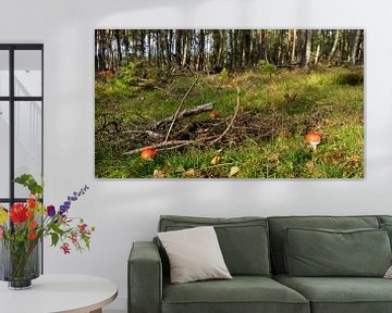 Cercle de champignons dans la forêt sur Jannieke