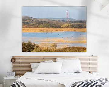 Ochtendgloren in de duinen - Natuurlijk Ameland van Anja Brouwer Fotografie