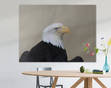 Porträt Nahaufnahme Amerikanischer Weißkopfseeadler von Maurice Dawson