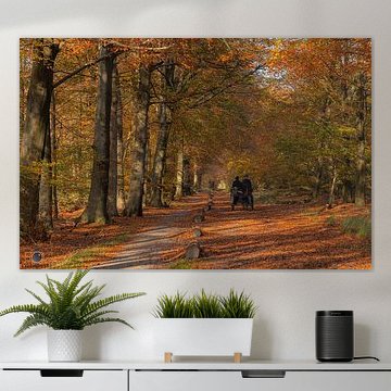 Herfst in Nederland!