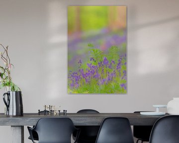 Wilde hyacinten bloemen die in het voorjaar op de bosbodem groeien van Sjoerd van der Wal