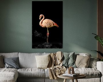 Flamingo sur Guido Heijnen