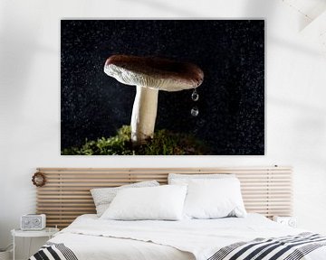 paddenstoel met 2 druppels van Patricia Mallens