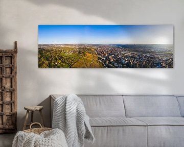 Panorama Esslingen am Neckar vanuit vogelperspectief van Werner Dieterich