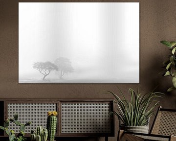 Foggy landscape by Andre Brasse Photography