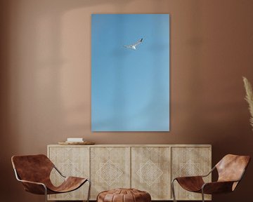 Seagull in blue sky by Kevin IJpelaar