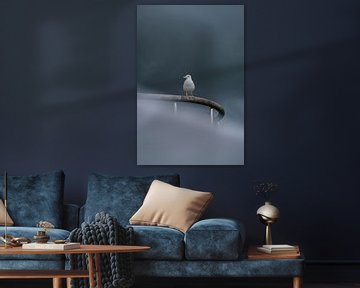 Seagull in dark sky by Kevin IJpelaar