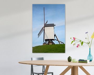 Windmühlen von Brügge, Flandern, Belgien