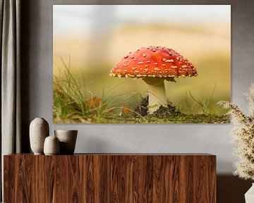 Mushroom by Hennie Zeij