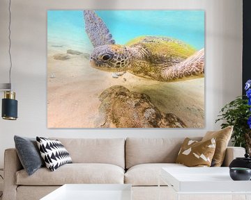 Schildpad in zee van Nicole Nagtegaal
