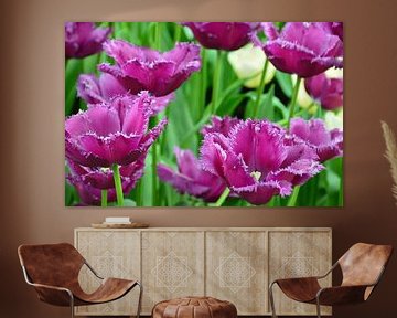 Purple Tulip field von Marcel van Duinen