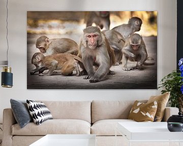 Een sluwe makaak en een bende van haar kinderen... van Michael Semenov