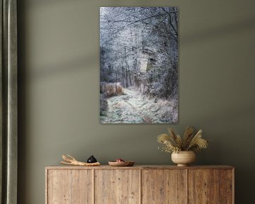 Landscape in frost