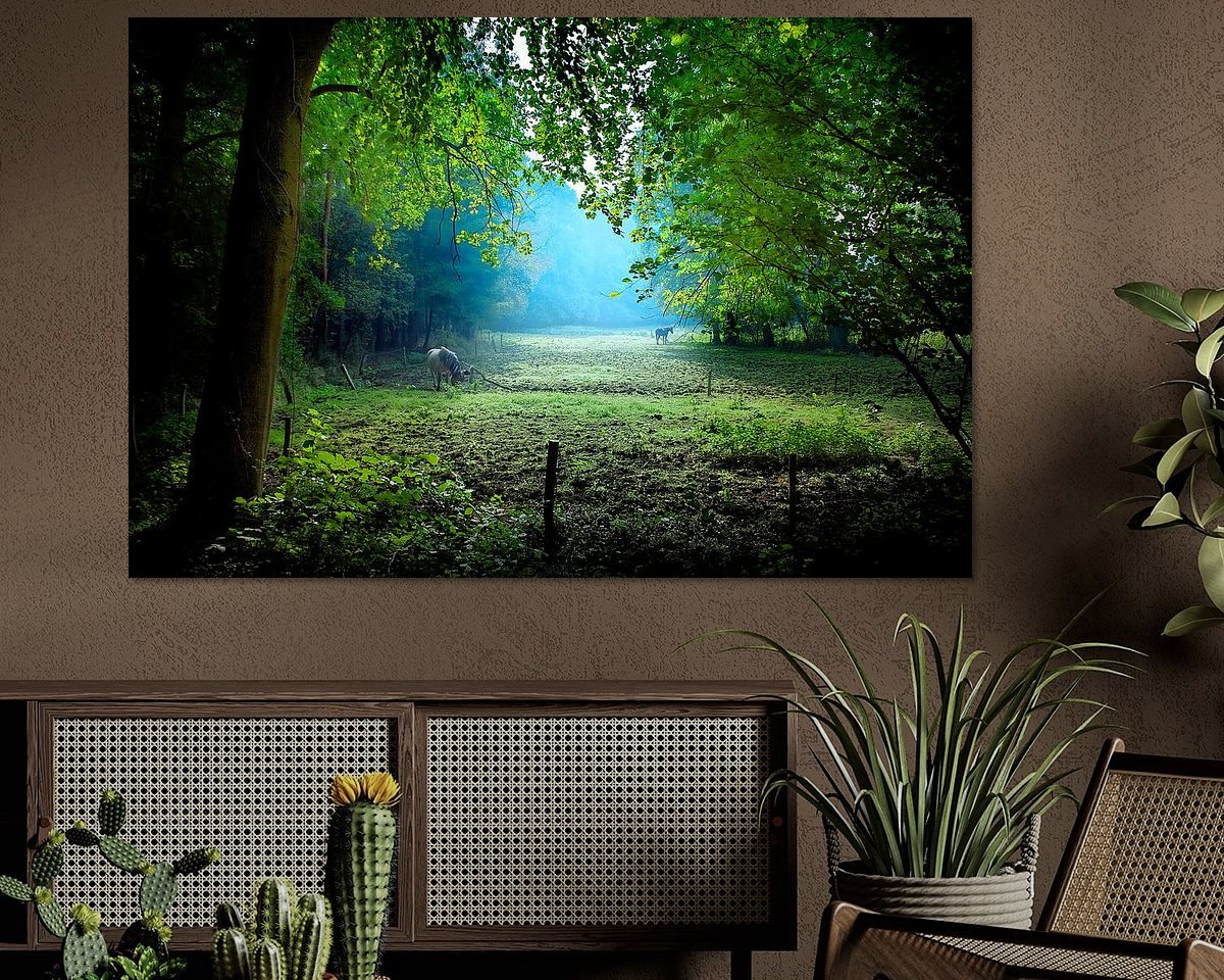 Raumvorschau