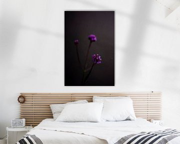 Dark still life in grey with a purple flower by What I C