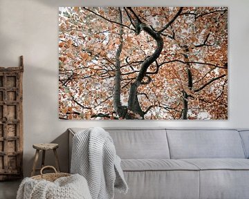 Arbre d'automne aux branches gracieuses sur Ruth Kamstra