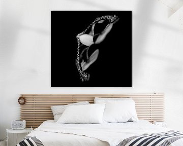 La fleur de la passion en noir et blanc