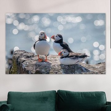 Papageientaucher mit Glitzern