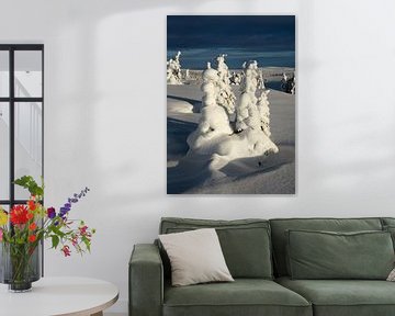 Besneeuwde Bomen, Noorwegen van Adelheid Smitt