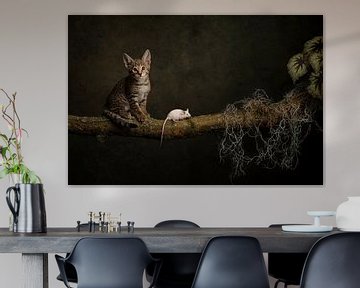 cat and mouse by Carolien van Schie