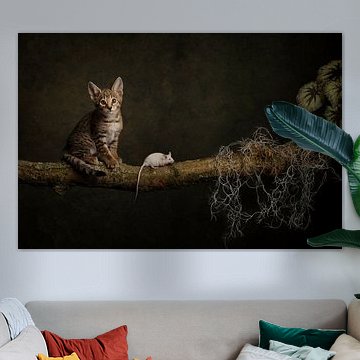 kat en muis van Carolien van Schie