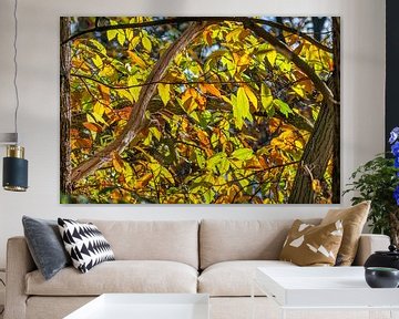 Herfstkleur in het bos van oranje en bruine bladeren van de tamme kastanje Castanea sativa van Peter Buijsman