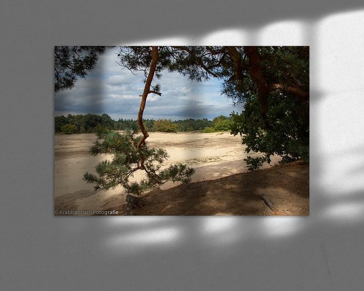 Sfeerimpressie: Naaldtak met zand van Maarten Krabbendam