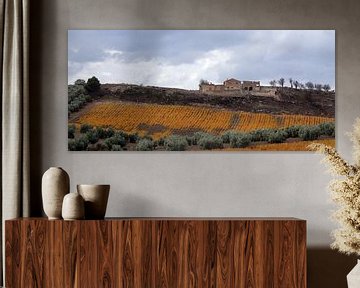 Old farmhouse with asparagus field in autumn colours by Jan Katuin