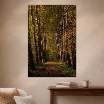 parc naturel de Lelystad