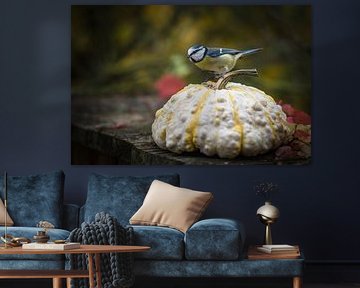 Mamelon sur citrouille sur Jürgen Schmittdiel Photography
