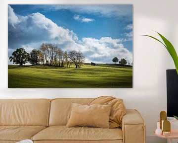 Landscape in Vogelsberg