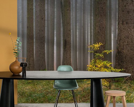 Raumvorschau