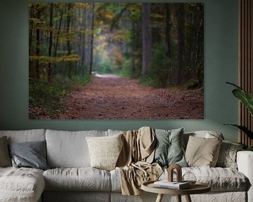 Herfst in het bos van MSP Canvas