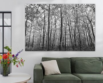 Abstrakter Schwarz-Weiß-Druck von Bäumen im Wald bei Gortel. von Christa Stroo photography