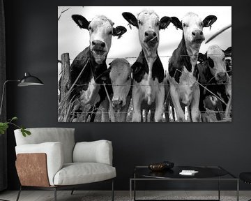 Nieuwsgierige koeien in zwart wit van Ans Bastiaanssen