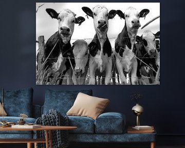 Nieuwsgierige koeien in zwart wit van Ans Bastiaanssen