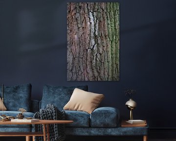 Tree bark by Sigrid Olschinski
