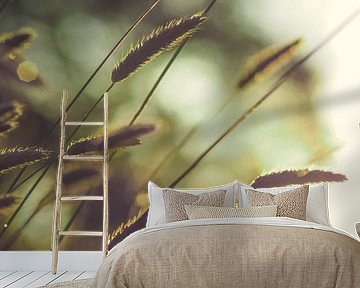 Grasses and light 2 by Miriam Meijer, en pleine campagne.....