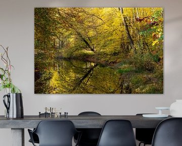 Herfst kleuren reflectie in vijver van het Molenbosch Zeist van Peter Haastrecht, van