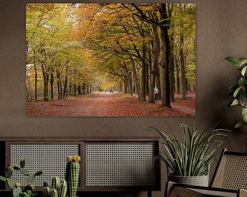 Herfst in het bos Zeist. van Peter Haastrecht, van