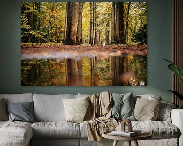 Réflexion automnale dans une flaque d'eau de la forêt. sur Peter Haastrecht, van