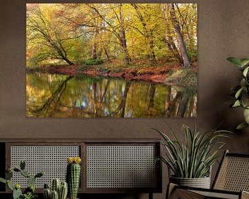 Herfst reflectie in de vijver van het Molenbosch Zeist van Peter Haastrecht, van